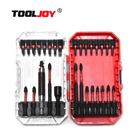 Tooljoy 30PCS 스크류 드라이버 비트 더블 엔드 마그네틱 스크류 드라이버 비트, 스크류 홀더, 육각 스크류 드라이버 비트, 크로스 윈드 배치 헤드, 산업용 전기 헤드